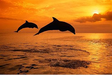 建造生存射击游戏《银河破裂者》发布玩法预告